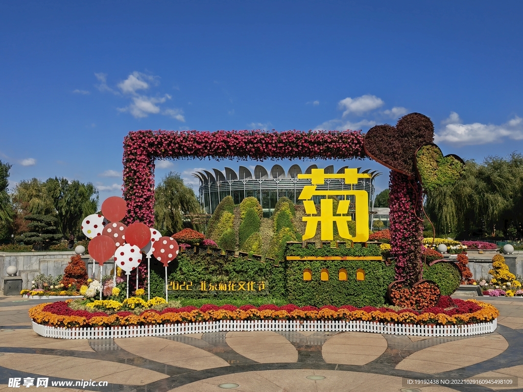 花坛风景  