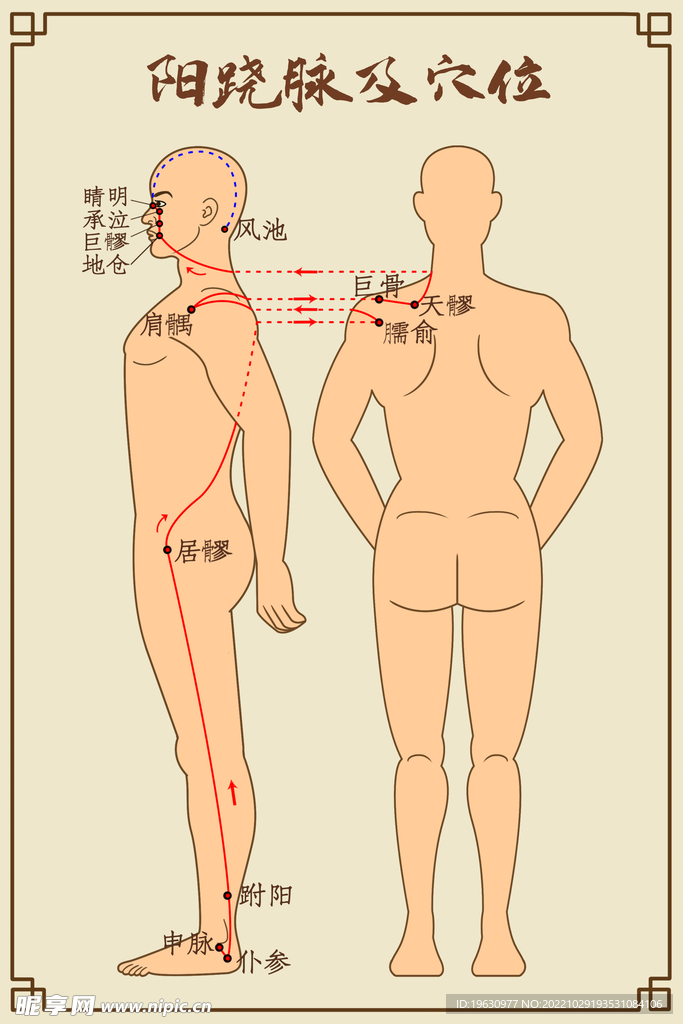 中医经络图