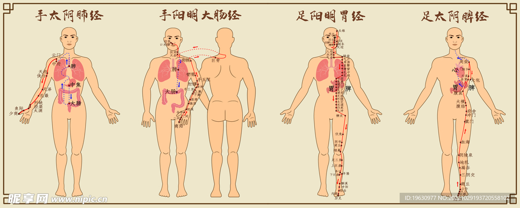 中医经络图