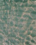 海水