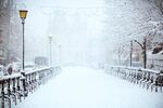 雪景