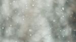 下雪