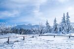 雪景