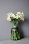 花瓶里的水仙花