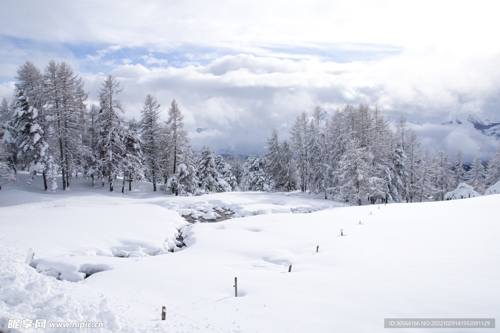 冬季雪地