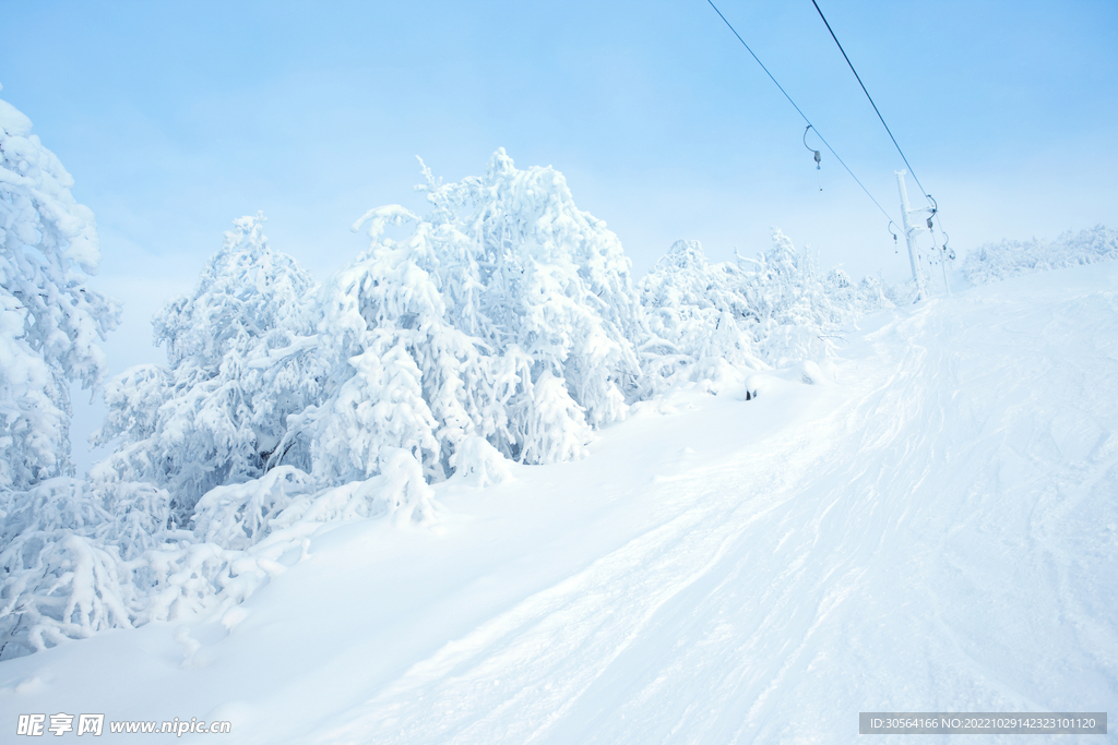 冬季雪地雪景