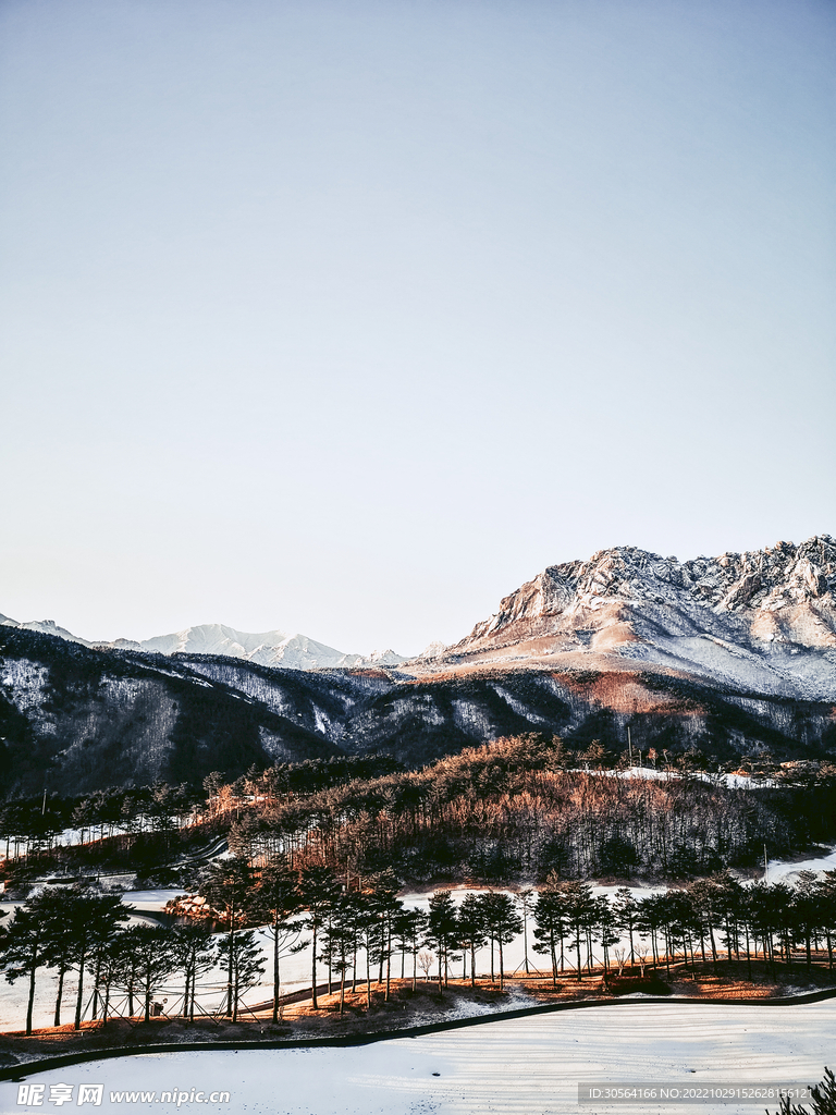 冬季雪山森林