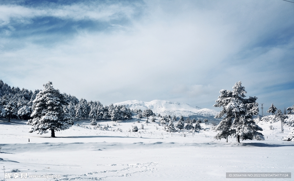 冬季雪地