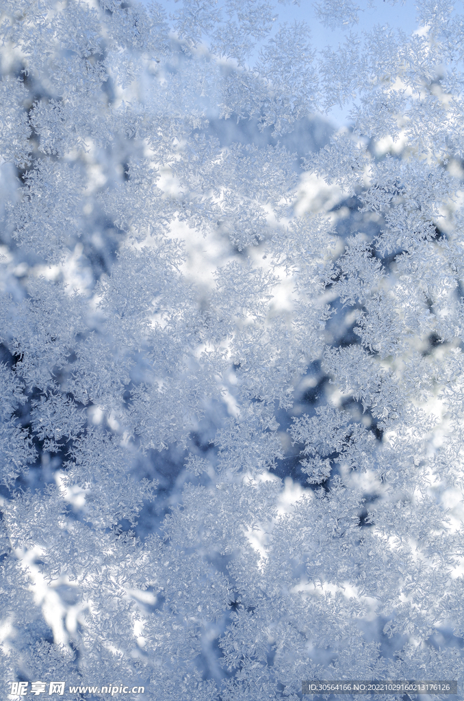 冬季雪花