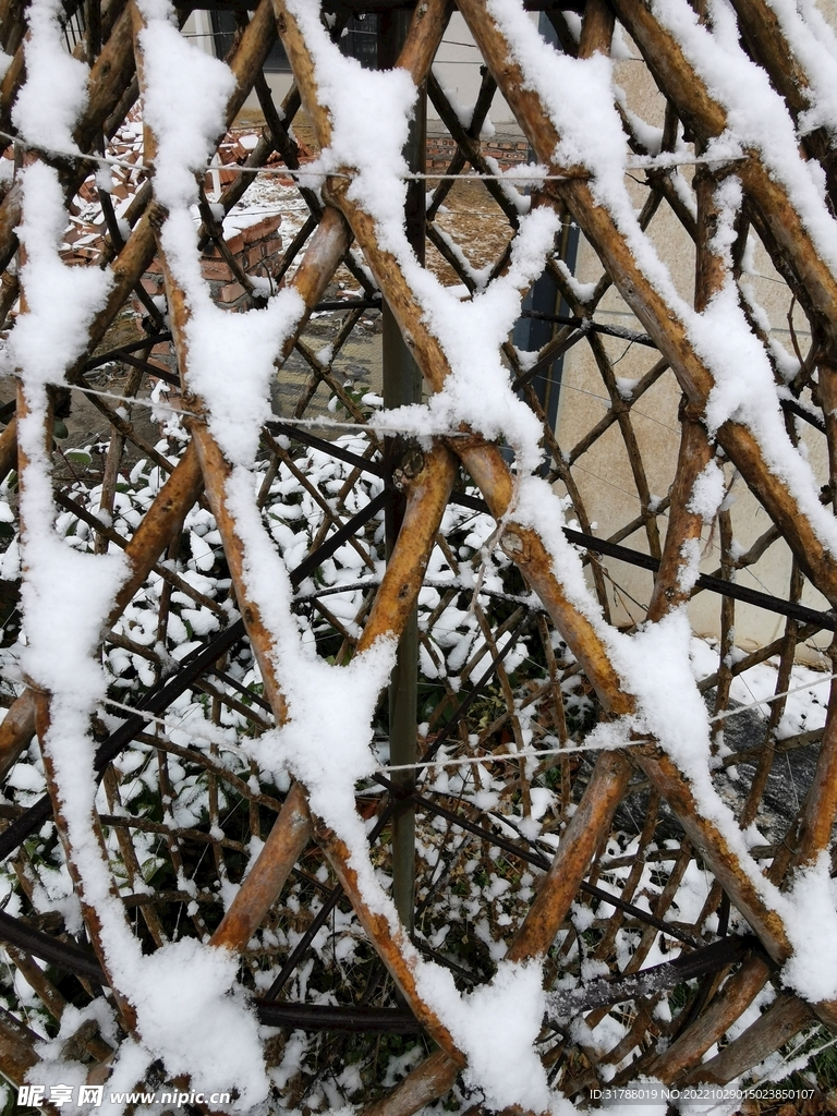 雪景