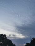 鳞状的天空