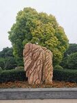 树与石