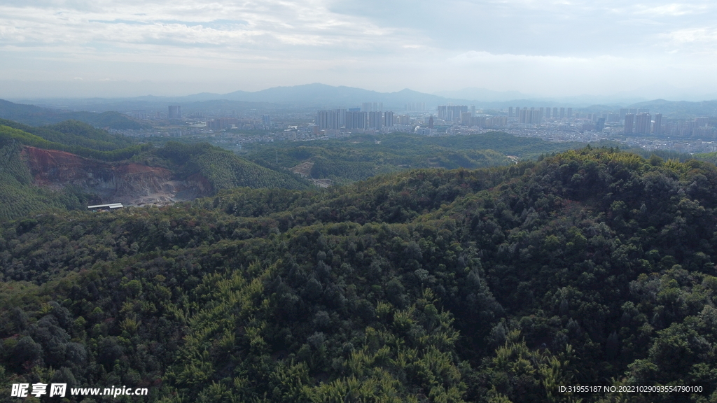 山