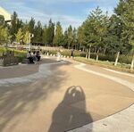 美丽的公园风景照片