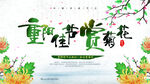 重阳佳节赏菊花