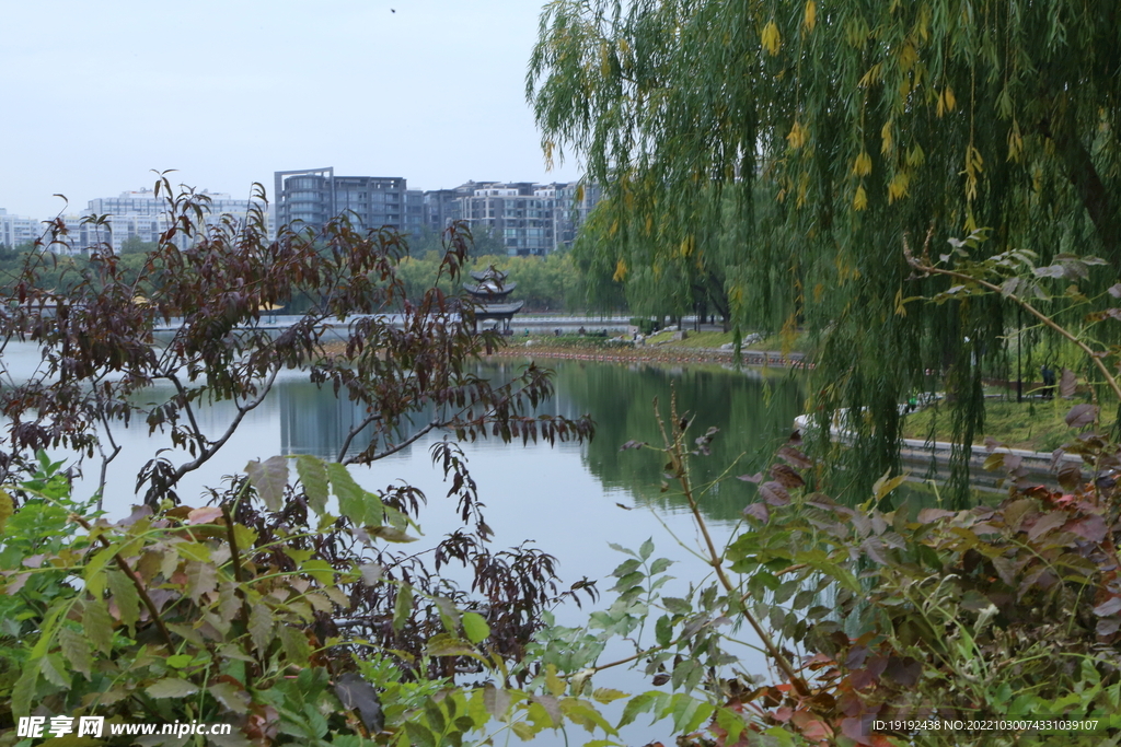 陶然亭风景  