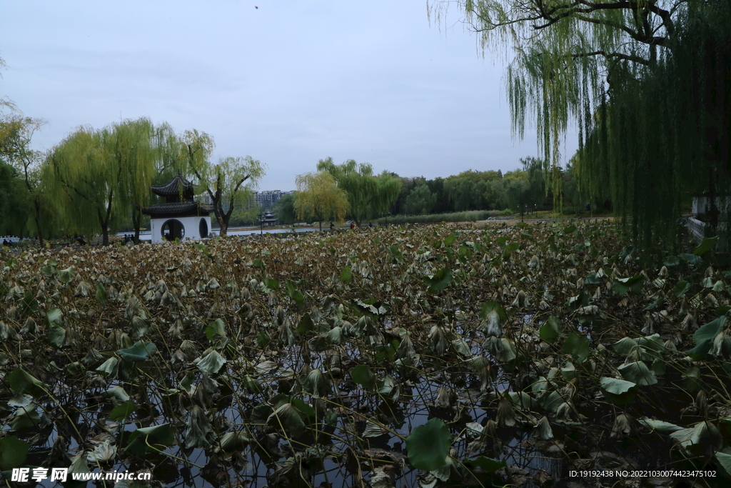 陶然亭风景 