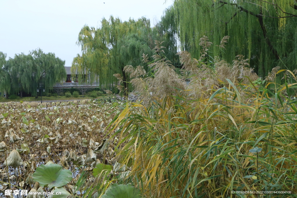 陶然亭风景 