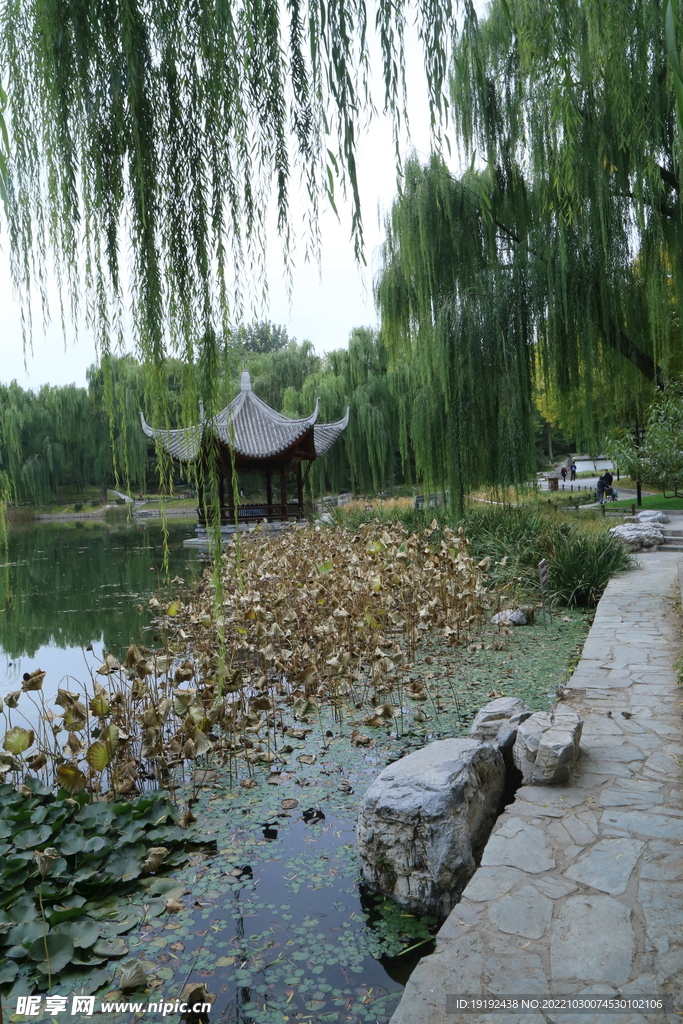 陶然亭风景  