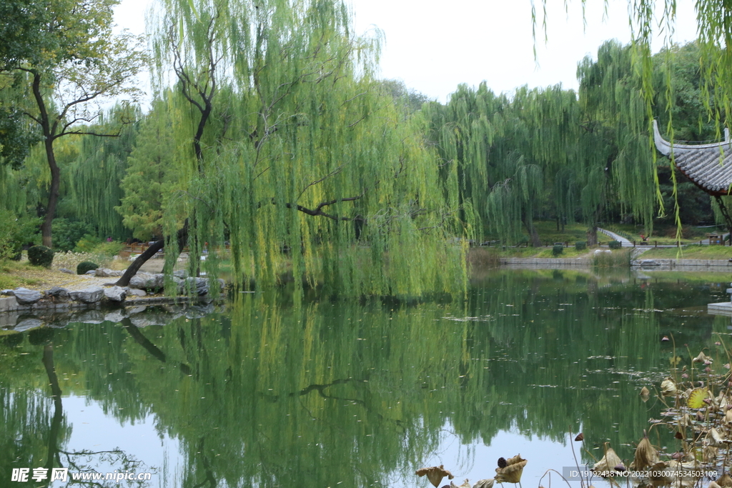 陶然亭风景  