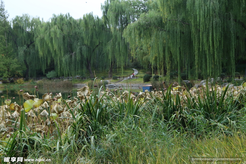 陶然亭风景 