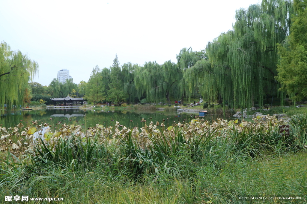 陶然亭风景  