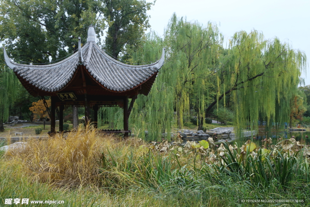 陶然亭风景  