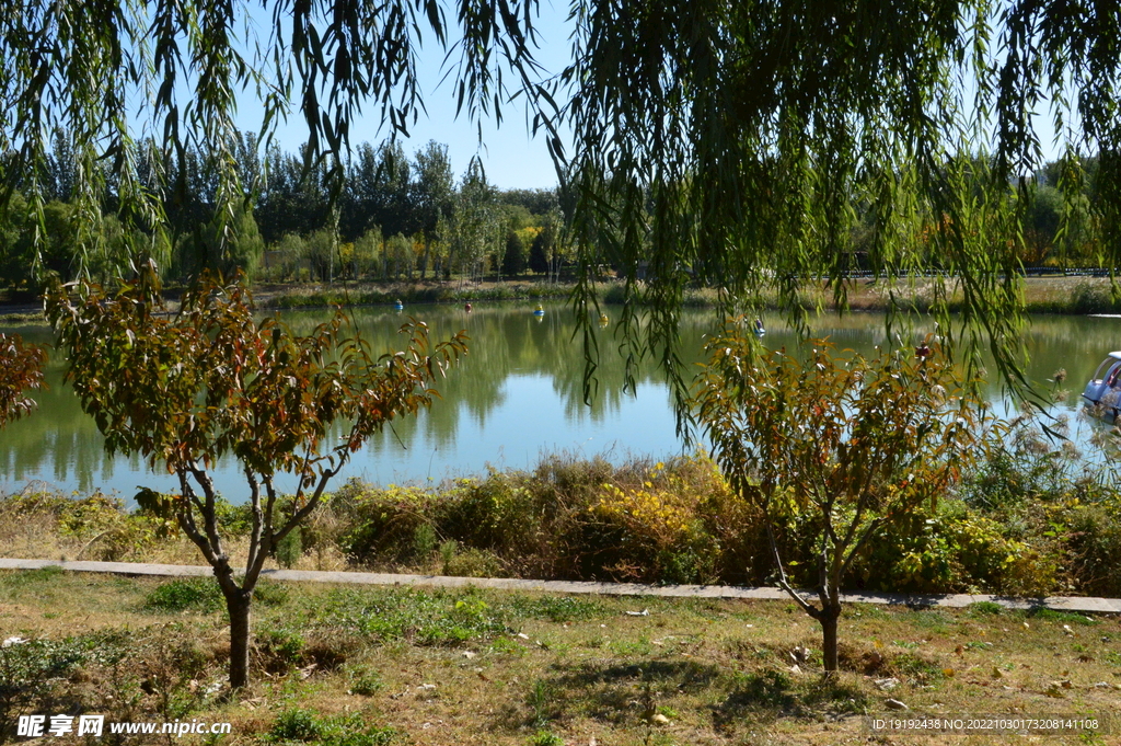 龙潭中湖风景 