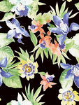 黑底手绘花朵