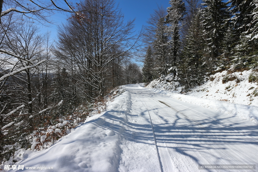 冬季雪地