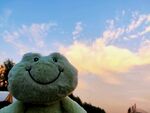 晚霞下的小青蛙