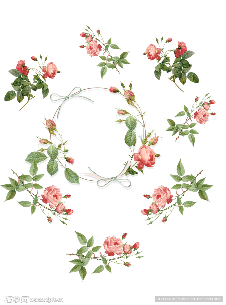 玫瑰花
