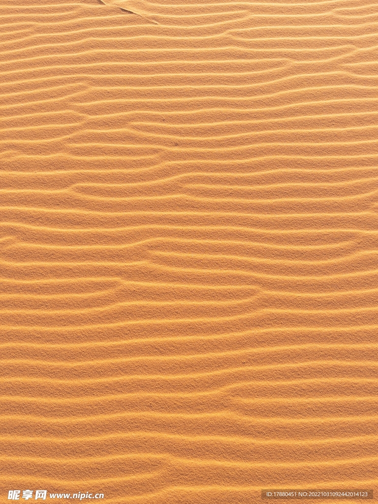 沙漠