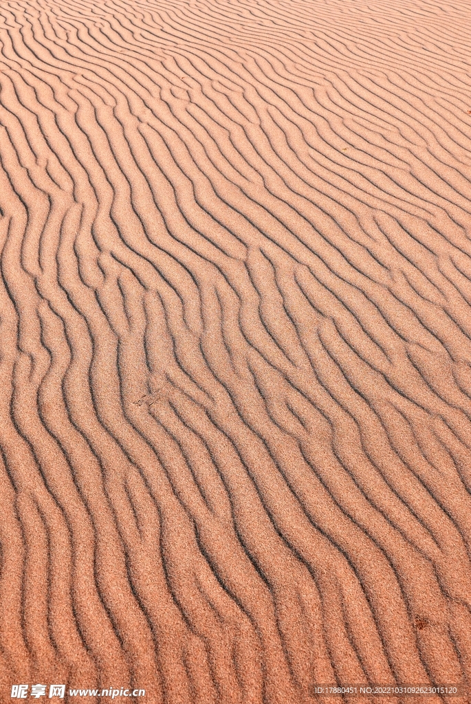 沙漠