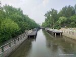 小乔流水树木
