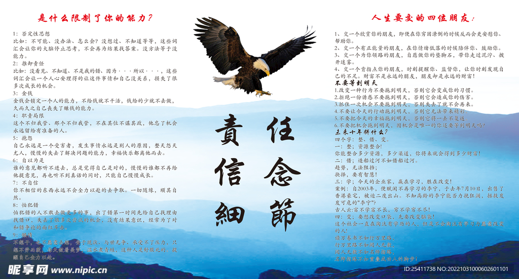 鹰展板