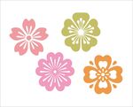 花纹