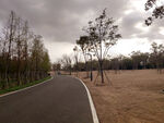 秋天的公路