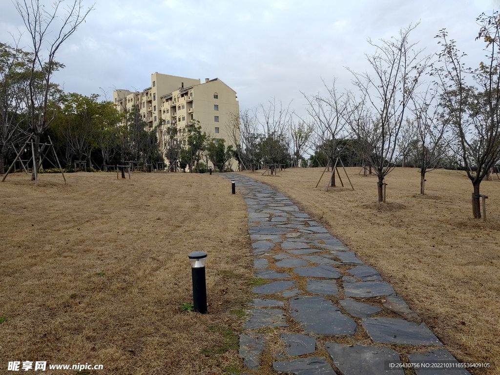 秋天石板路