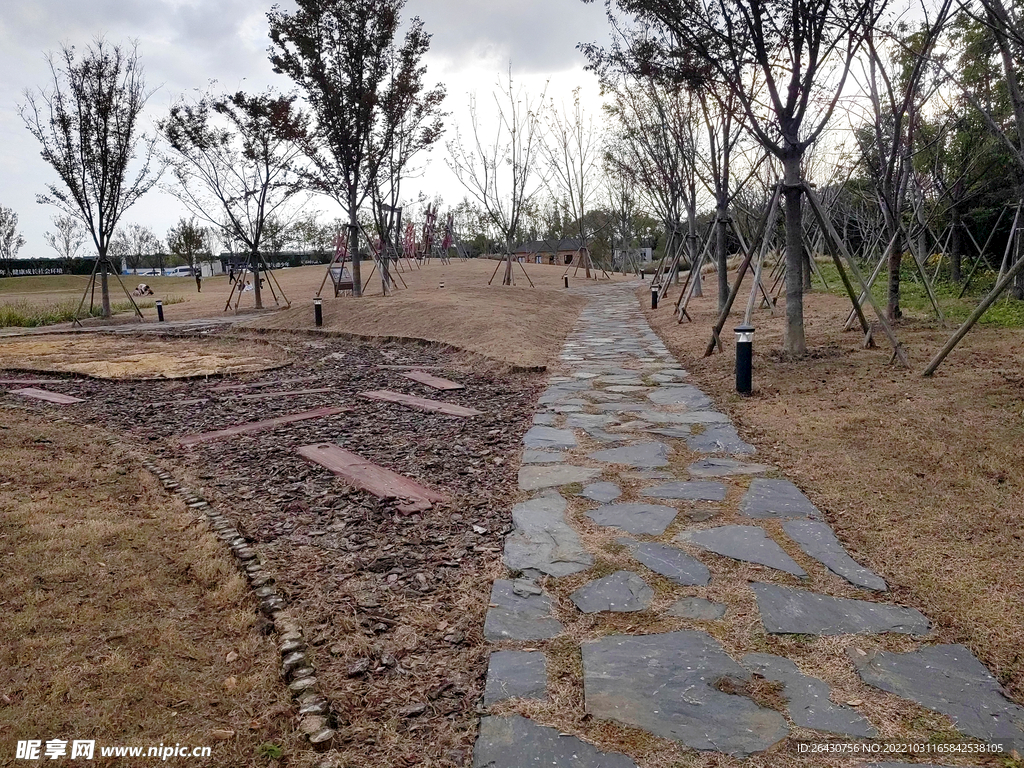 秋天公园在建石板路