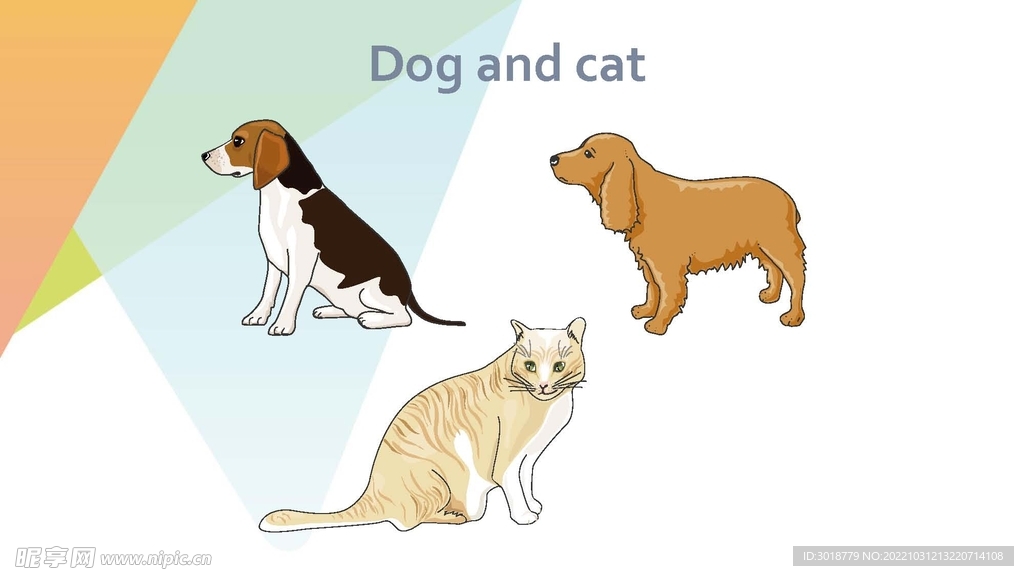 猫狗