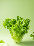 生菜