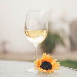 酒杯             