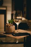 酒杯             