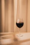 酒杯             