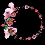 手绘花卉