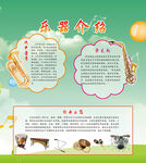 乐器介绍海报