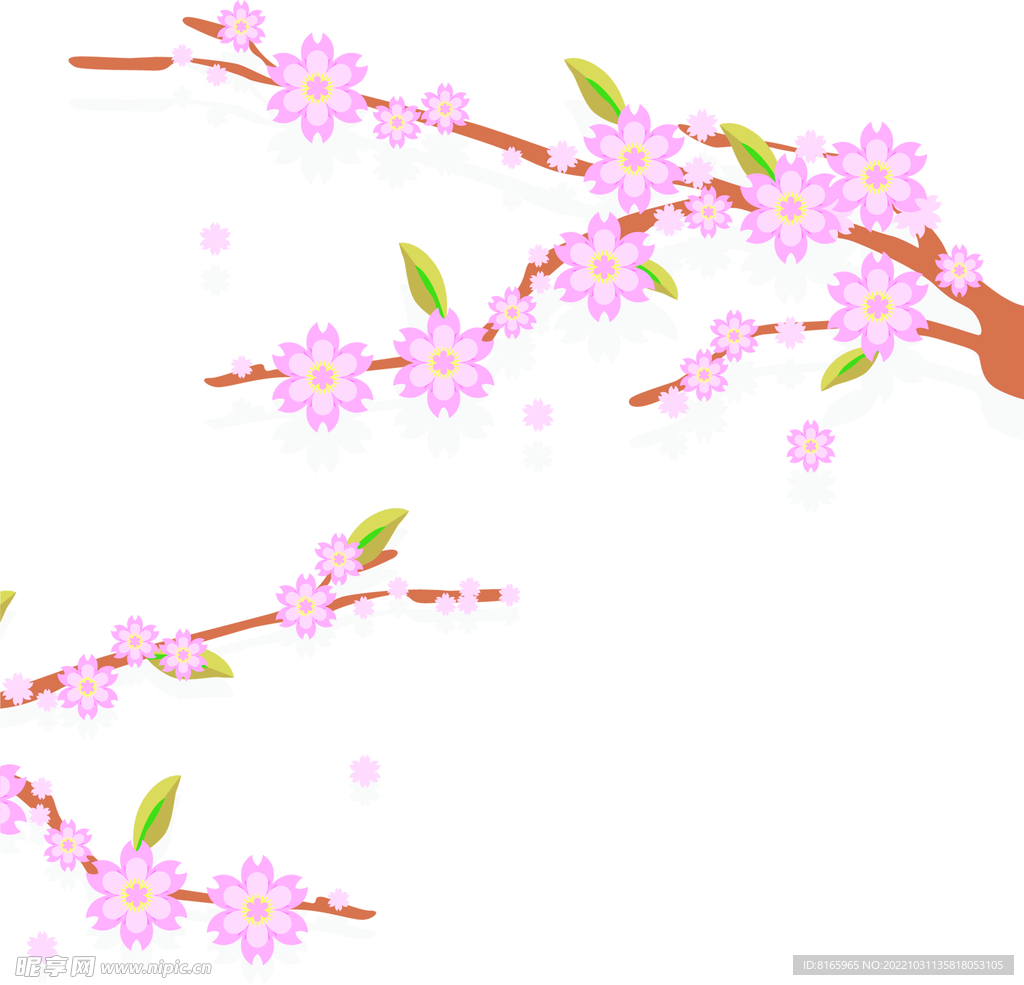樱花插图（内含PS图）