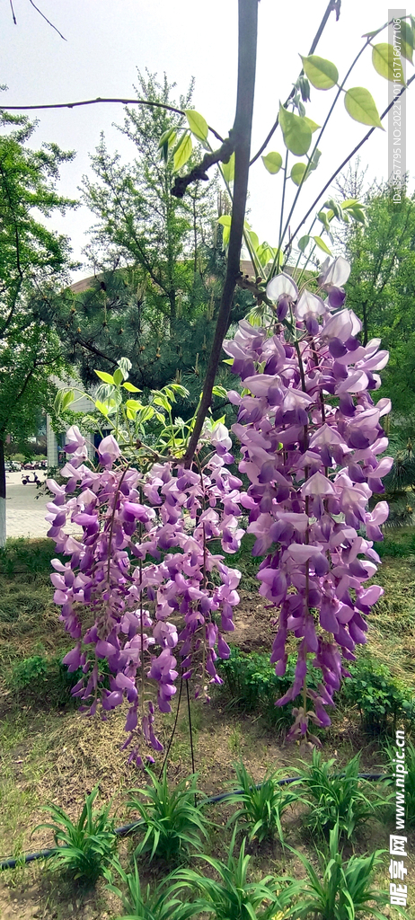校园一角