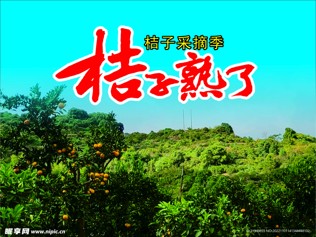 桔园